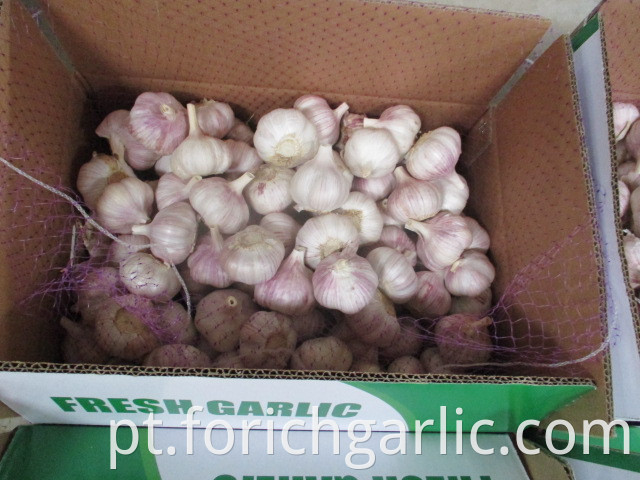 New Fresh 2019 Garlic